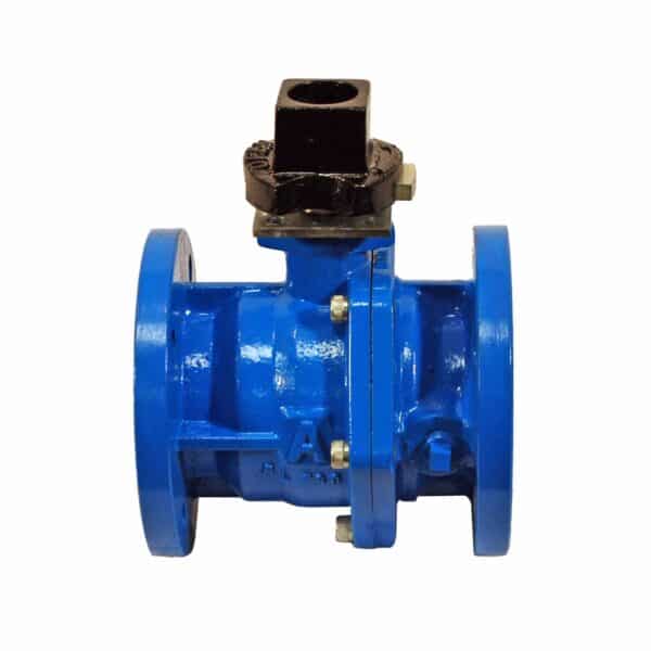 back view of 3700 Cast Iron Flanged Valve